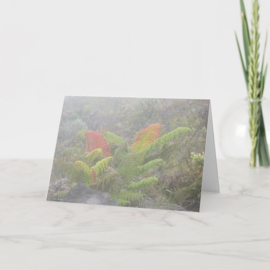 霧- Haleakala、マウイのシダ カード (正面)