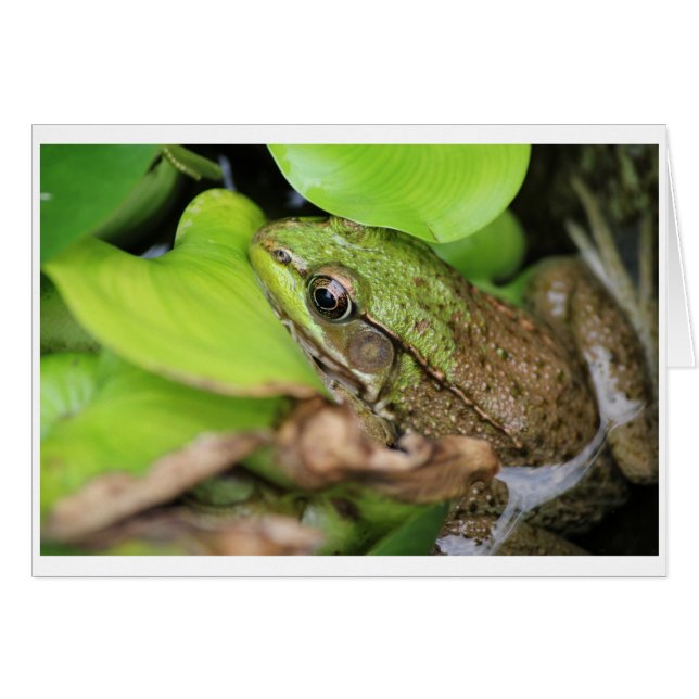 霧Pince - Pin (正面横)