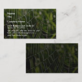 露およびSpiderwebs 名刺 (正面/裏面)