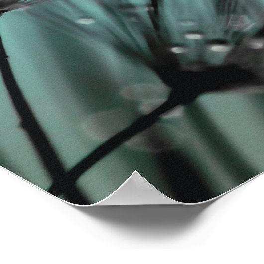 露きらめくタンデヨンアクアシアン背景 ポスター (角)