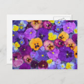 露で鳥風呂に浮かんでいるパニ色の花 ポストカード (正面/裏面)