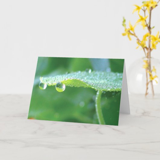 露と緑のナスタチウム、自然の詩 カード (黄色い花)