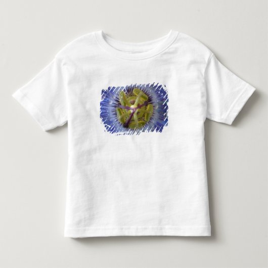 露に濡れたトケイソウのクローズアップ。提供: Don トドラーTシャツ (正面)
