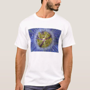 露に濡れたトケイソウのクローズアップ。提供: Don Tシャツ