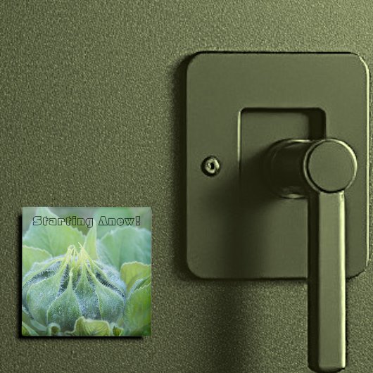 露に濡れたヒマワリの芽クローズアップ写真 マグネット