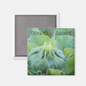 露に濡れたヒマワリの芽クローズアップ写真 マグネット (正面/裏面)