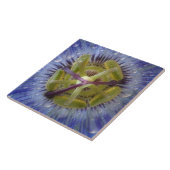 露に濡れた情熱の花の閉鎖。クレジット：ドン タイル (側面)