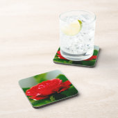 露に覆われた赤いバラ コースター (右側)