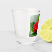 露に覆われた赤いバラ ショットグラス (左)