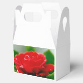 露に覆われた赤いバラ フェイバーボックス (オープン)