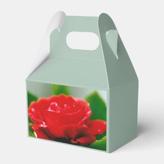 露に覆われた赤いバラ フェイバーボックス (正面サイド)