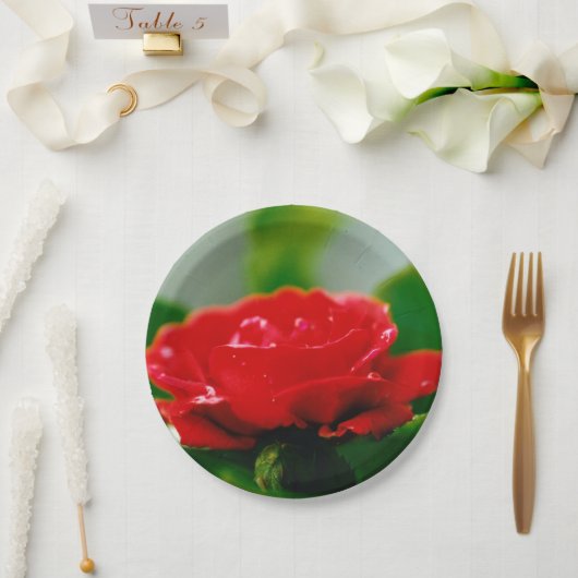 露に覆われた赤いバラ ペーパープレート (ウェディング)