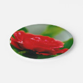 露に覆われた赤いバラ ペーパープレート (アングル)