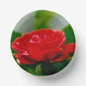 露に覆われた赤いバラ ペーパーボウル (正面)