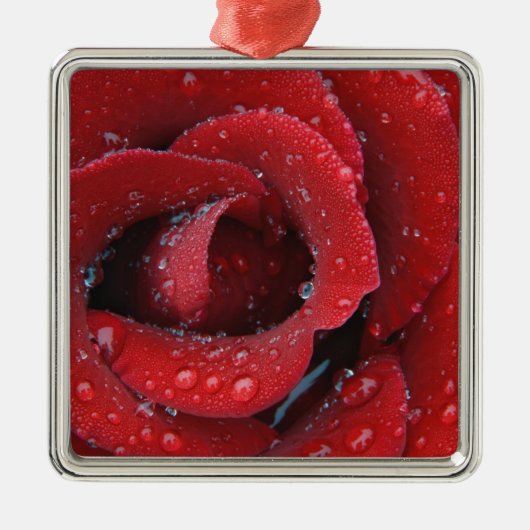 露に覆われた赤飾いバラの墓場 メタルオーナメント (正面)