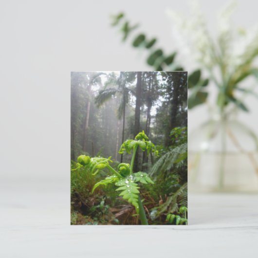 露のしぶきの郵便はがきが付いている雨林の葉 ポストカード (スタンド正面)