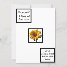 露のデイジー結婚の