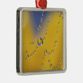 露の付いたクモの巣のクローズアップ メタルオーナメント (右)