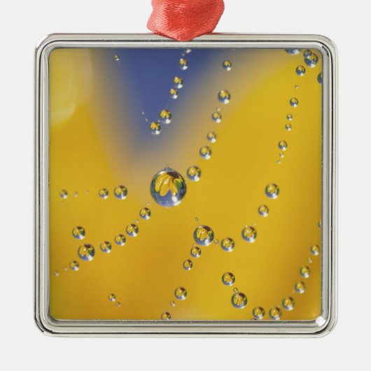 露の付いたクモの巣のクローズアップ メタルオーナメント (正面)