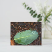 露の付いた葉 ポストカード (スタンド正面)