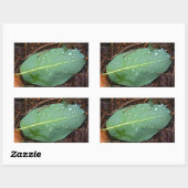 露の付いた葉 長方形シール (シート)