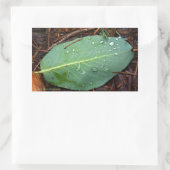 露の付いた葉 長方形シール (バッグ)