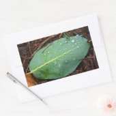 露の付いた葉 長方形シール (封筒)