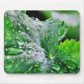 露の水滴の低下 マウスパッド (正面)