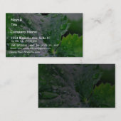 露の水滴の低下 名刺 (正面/裏面)