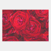 露の花の赤いバラ – 写真 ラッピングペーパーシート (正面)