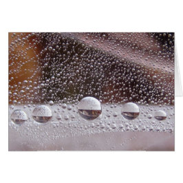 露の落ち陰陽平和自然カード詩