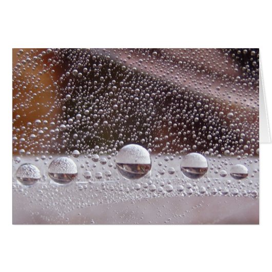 露の落ち陰陽平和自然カード詩 (正面横)