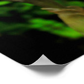 露の虹彩 ポスター (角)