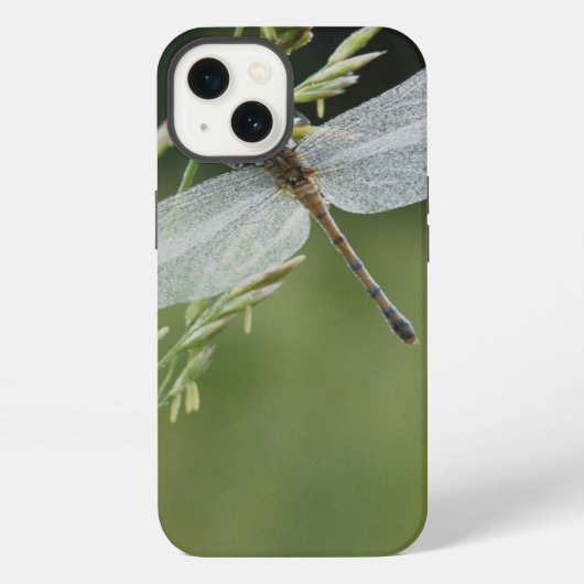露はDarnerのトンボを覆いました iPhoneケース (裏面)
