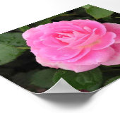 露キスバラ ポスター (角)