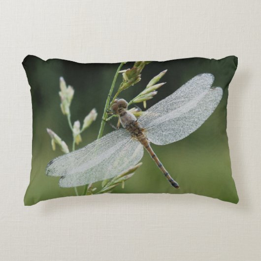 露ダナードラゴンフライ アクセントクッション (正面)