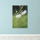 露ダナードラゴンフライ キャンバスプリント (インサイチュ (ウッドフロア))