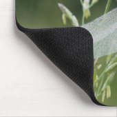 露ダナードラゴンフライ マウスパッド (コーナー)