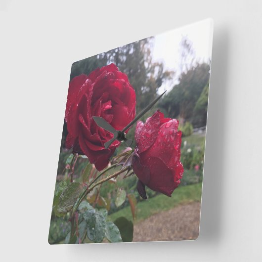 露ドロップバラ スクエア壁時計 (傾斜)