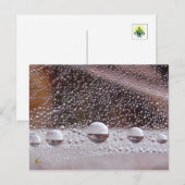 露ドロップ陰陽自然瞑想 ポストカード (正面/裏面)