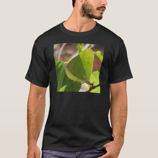 露中国の露 Tシャツ (正面)