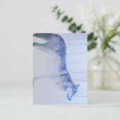 露出されたオオカミ ポストカード (スタンド正面)