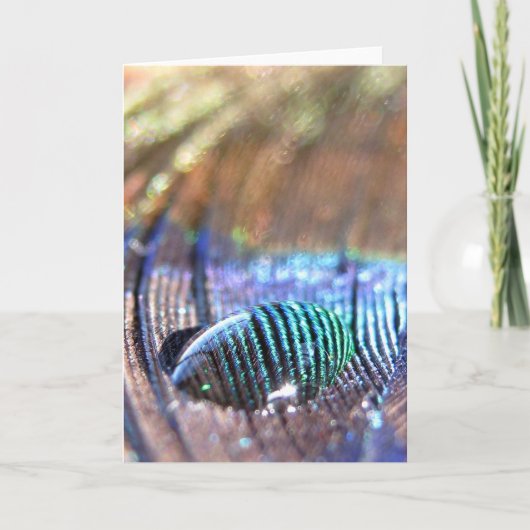 露出されたカード カード (正面)