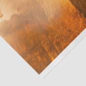 露出デコページ上のライオンの森 薄葉紙 (詳細)