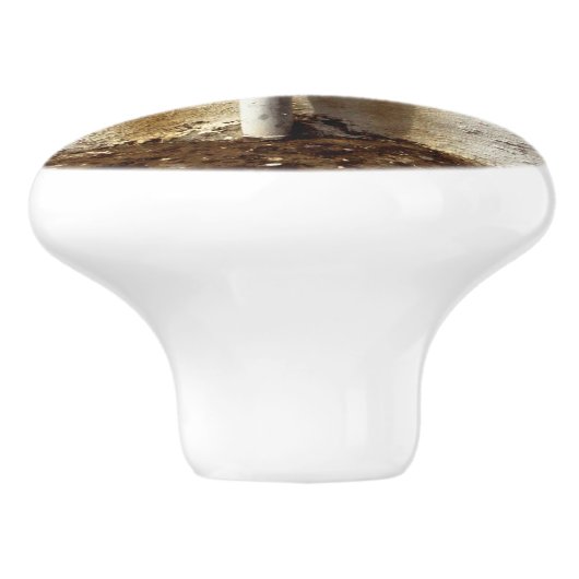 露出水管 セラミックノブ (側面)