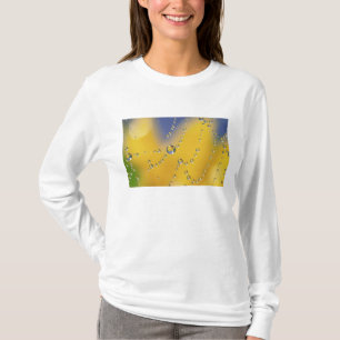露滴がついたクモの巣のクローズアップ Tシャツ