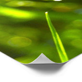 露滴 ポスター (角)