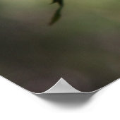 露着式バラポスター16x20バラ&散文 ポスター (角)