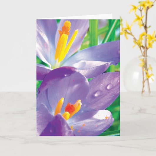 露花詩カラフルの曲 カード (黄色い花)