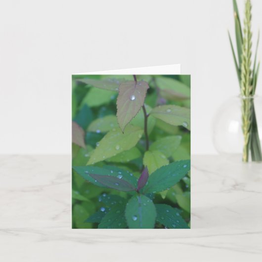 露離れ付き カード (正面)